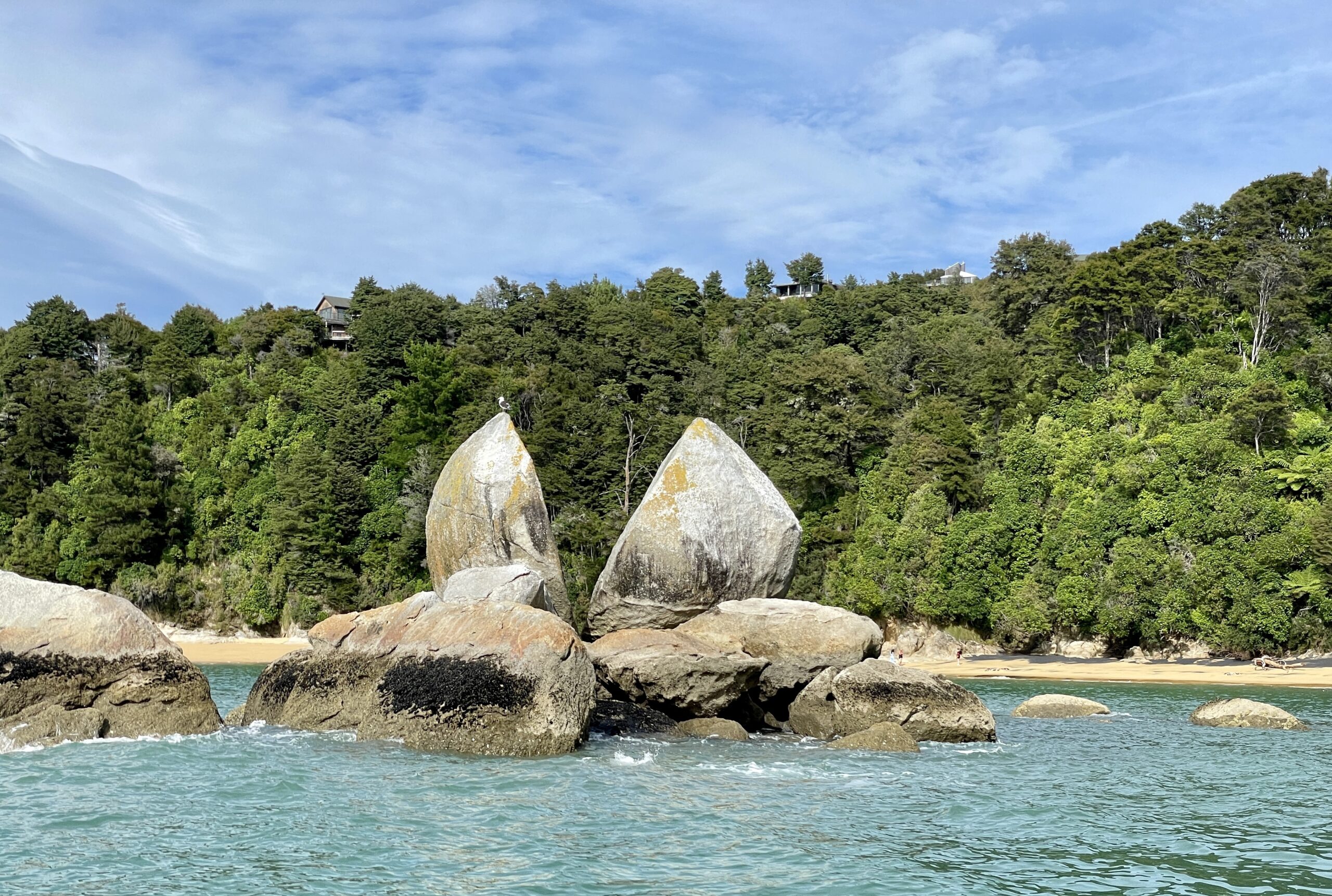 Abel Tasman